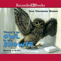 There_s_an_Owl_in_the_Shower